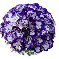 זר כלה ליזיאנטוסים סגול לבן