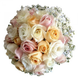 ורדים צבעוני A