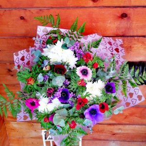 זר כלניות חורפי