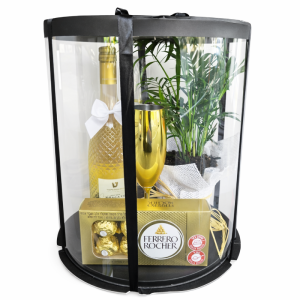 מארז עציץ בקופסא