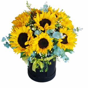 סידור חמניות בקופסא