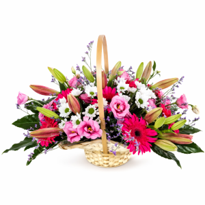 סידור פרחים בסלסלת סומבררו