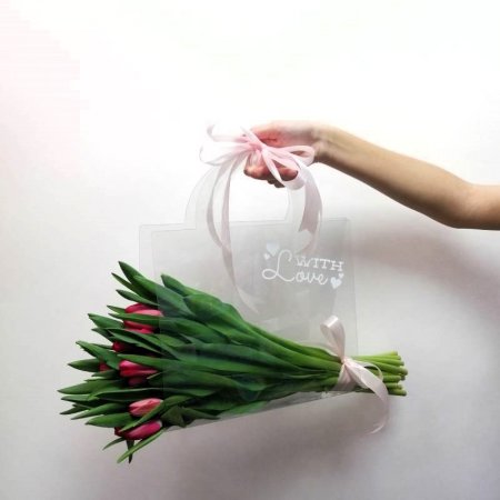 תיק טוליפים שקוף