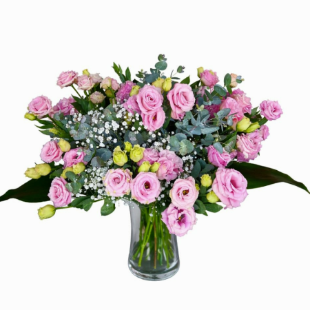 ליזיאנטוסים בורוד