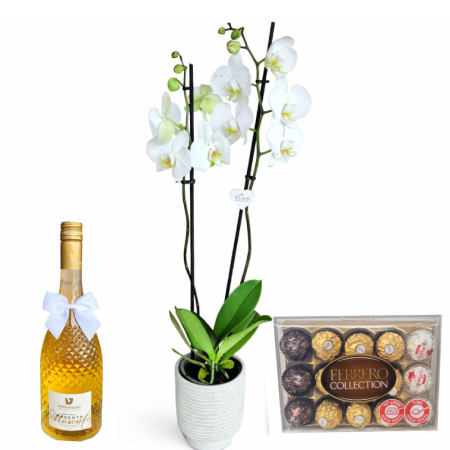 דיל סחלב 2 ענפים לבן