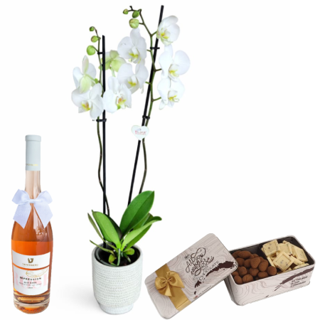 דיל סחלב לבן דה קרינה