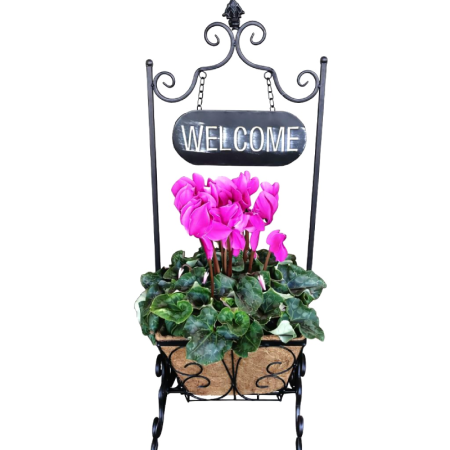 סטנד welcom+עציץ